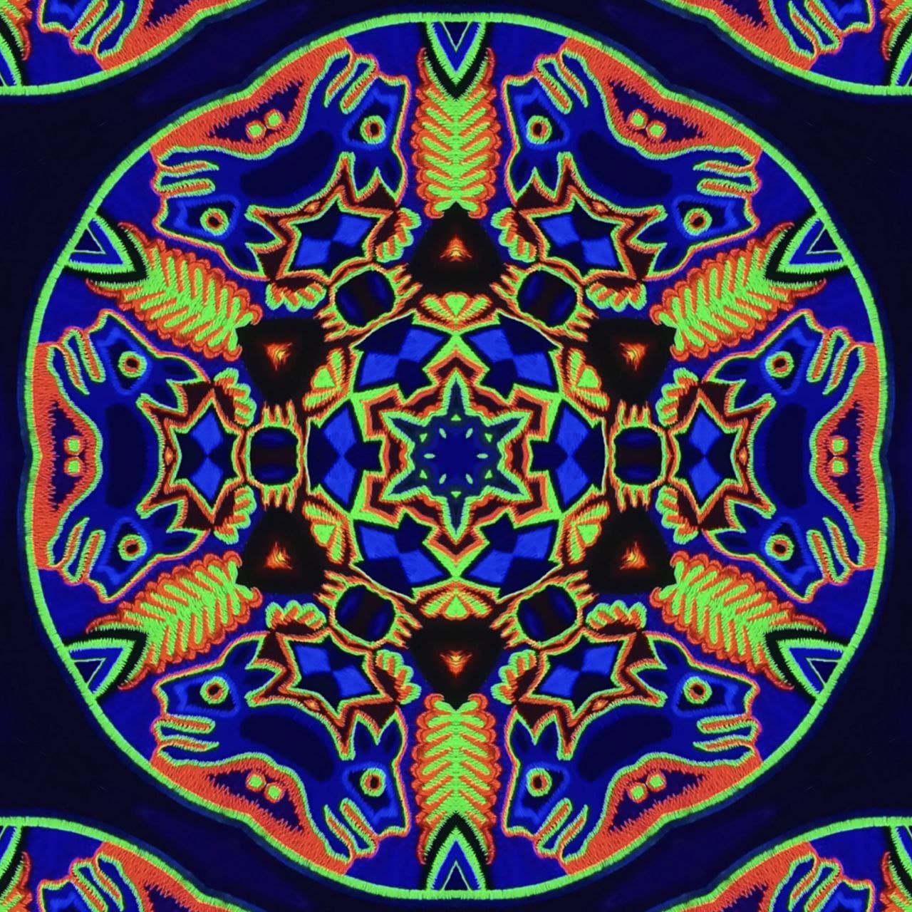Huichol Peyote Embroidery Shamanic Art Eagle Bird patch indigene mescaline Masterpiece blacklight glowing beauty UV active Magic Cactus