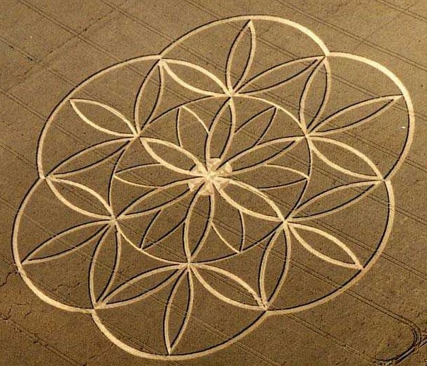 Seed of Life purple Star T-Shirt - sacred healing geometry seed of flower of life crop circle handmade embroidery no print